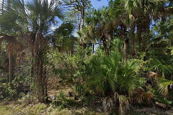 0.23 Acres of Residential Land for Sale in Palm Bay, Florida