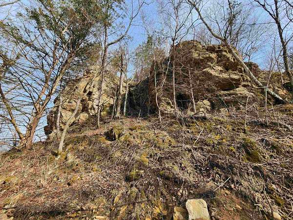 24.6 Acres of Recreational Land for Sale in La Farge, Wisconsin