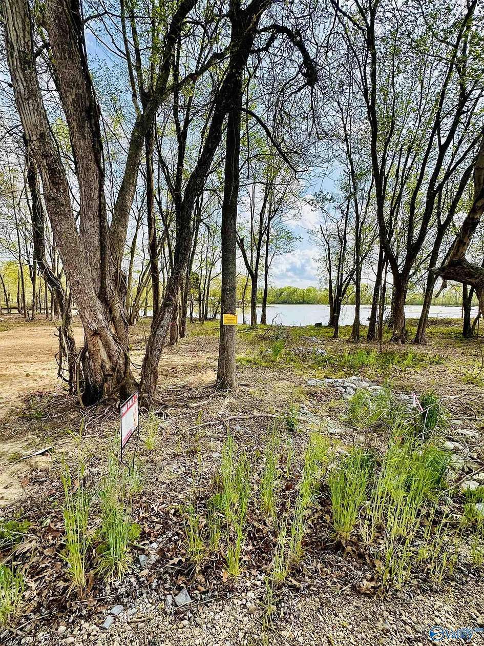 0.13 Acres of Land for Sale in Cedar Bluff, Alabama