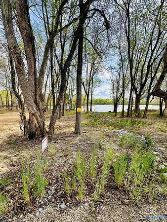 0.13 Acres of Land for Sale in Cedar Bluff, Alabama