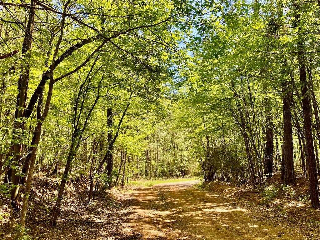 36 Acres of Recreational Land for Sale in Minden, Louisiana