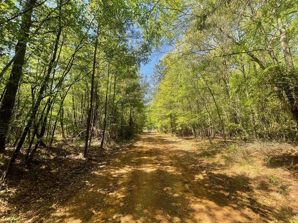 162 Acres of Land for Sale in Minden, Louisiana