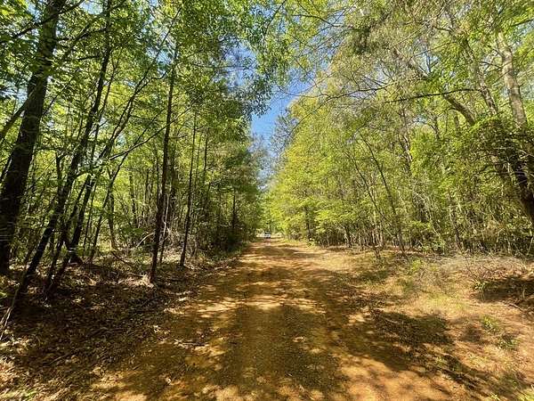 162 Acres of Land for Sale in Minden, Louisiana