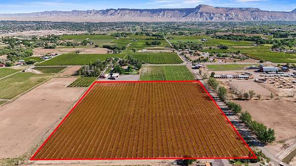 11.8 Acres of Land for Sale in Palisade, Colorado