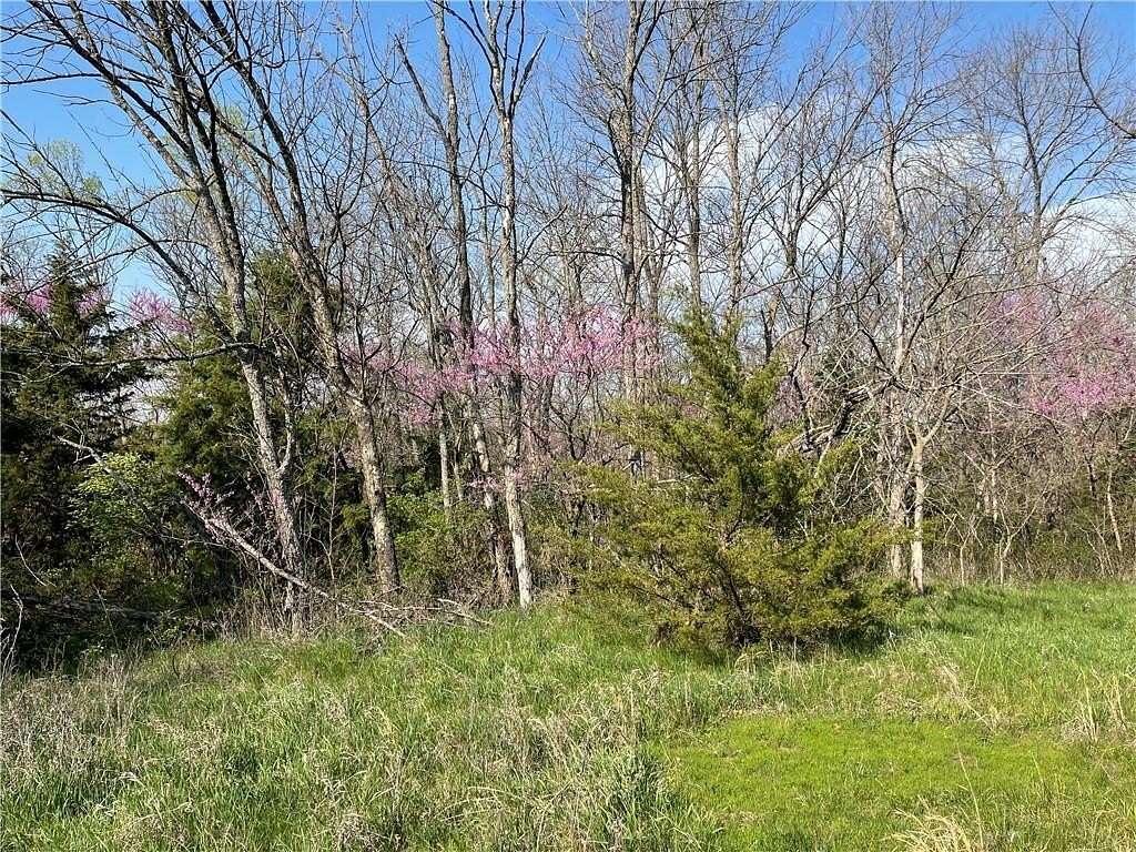 145 Acres of Recreational Land for Sale in Peculiar, Missouri