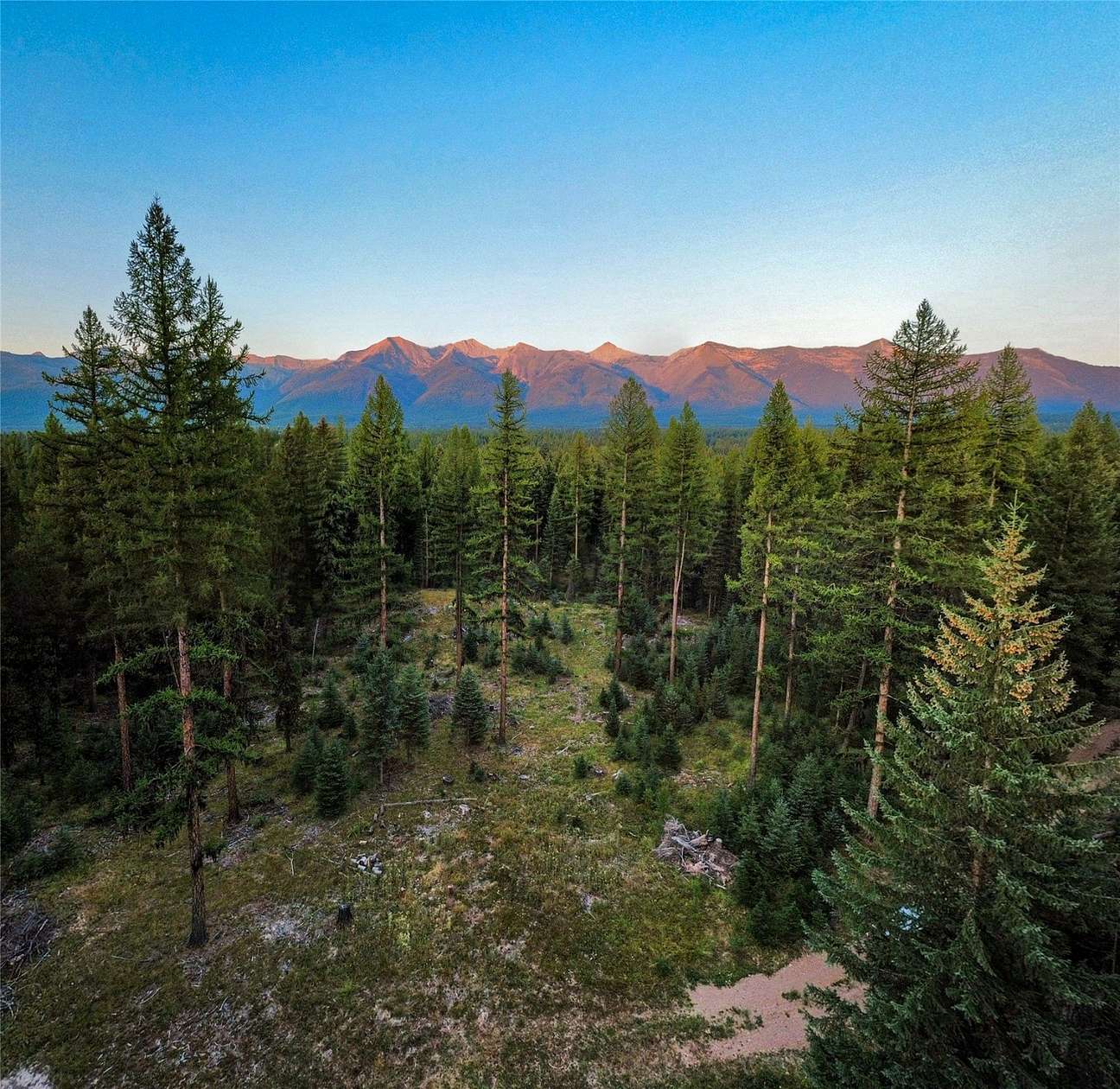 20 Acres of Recreational Land for Sale in Condon, Montana