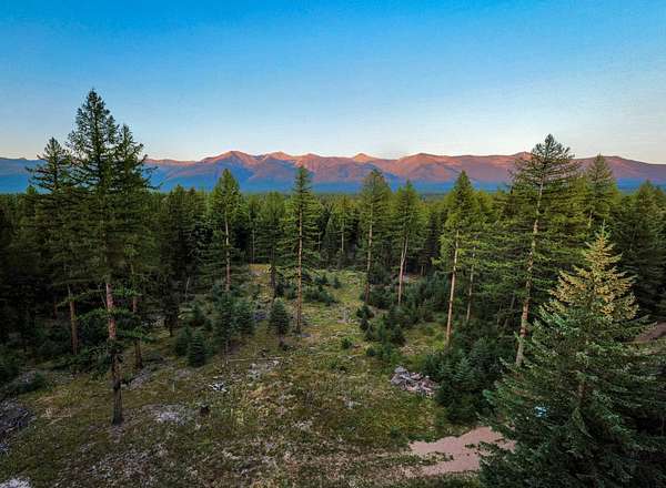 20 Acres of Recreational Land for Sale in Condon, Montana