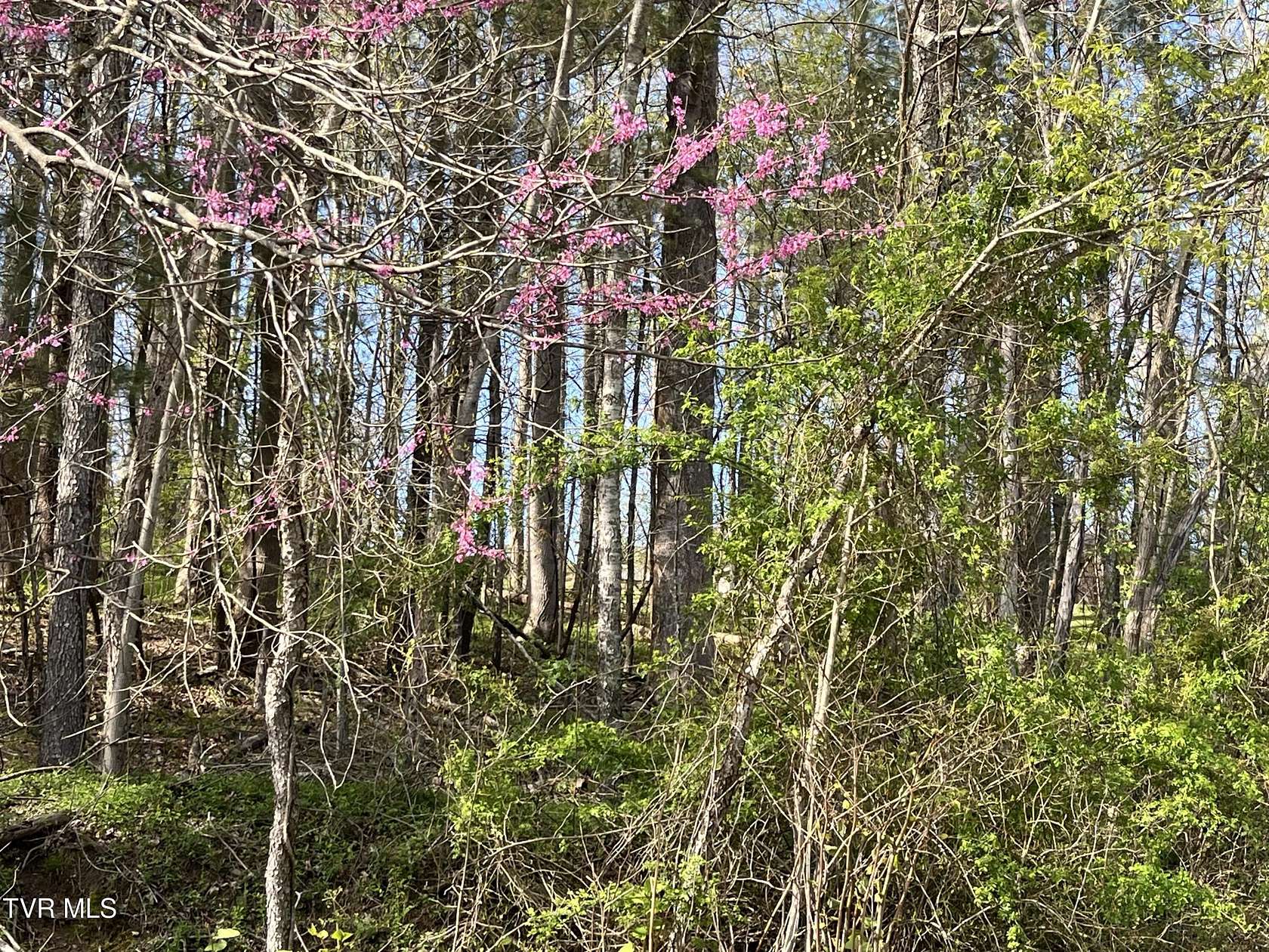 1.2 Acres of Residential Land for Sale in Big Stone Gap, Virginia