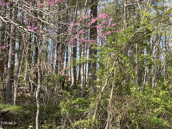 1.2 Acres of Residential Land for Sale in Big Stone Gap, Virginia