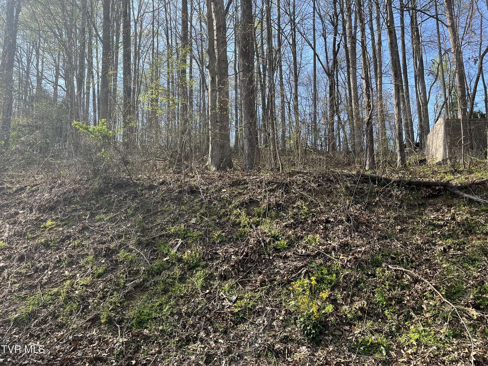 0.51 Acres of Residential Land for Sale in Big Stone Gap, Virginia