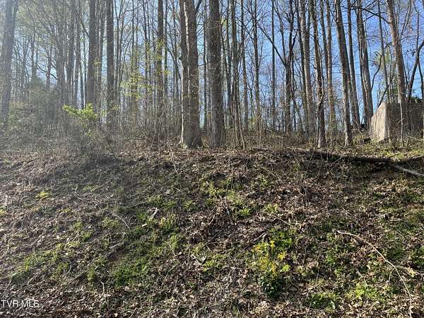 0.51 Acres of Residential Land for Sale in Big Stone Gap, Virginia