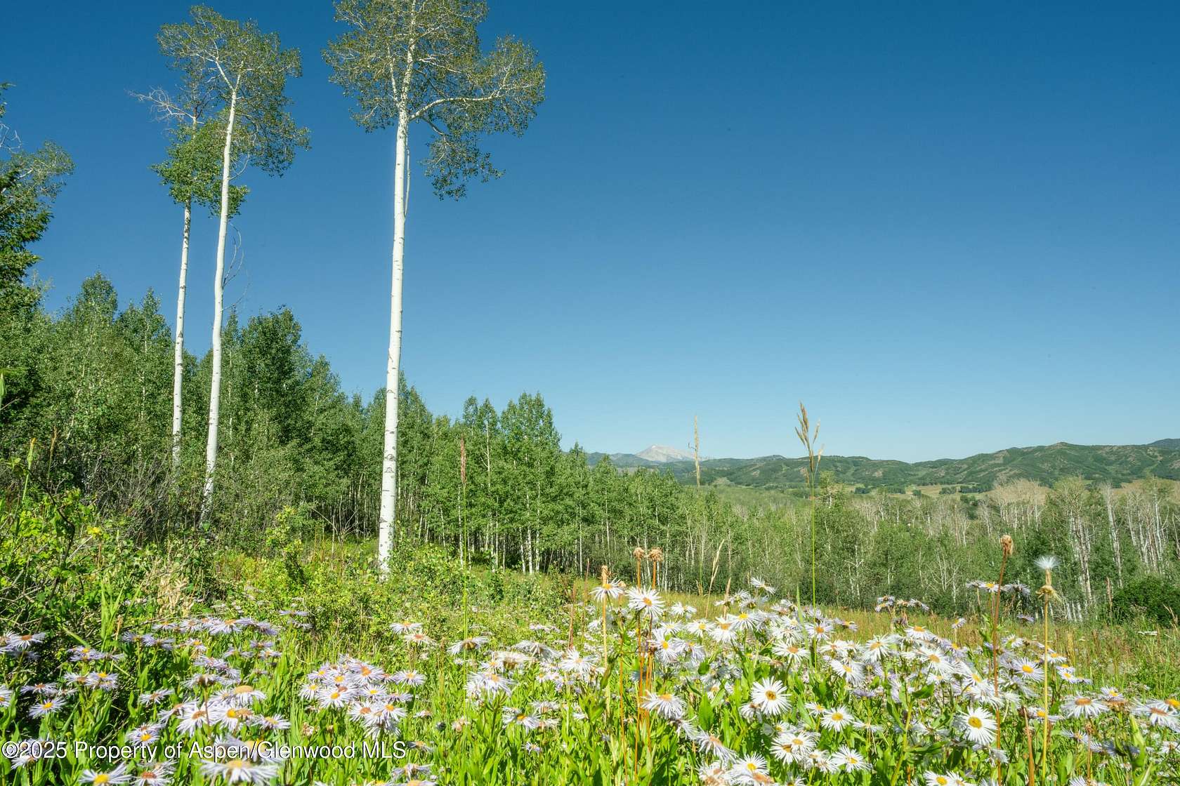 36.5 Acres of Land with Home for Sale in Aspen, Colorado