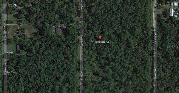 2.27 Acres of Residential Land for Sale in Hastings, Florida