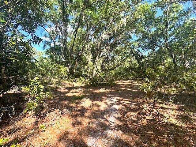 1 Acre of Residential Land for Sale in Inverness, Florida