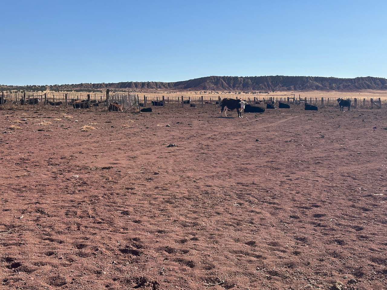 37.5 Acres of Recreational Land for Sale in St. Johns, Arizona