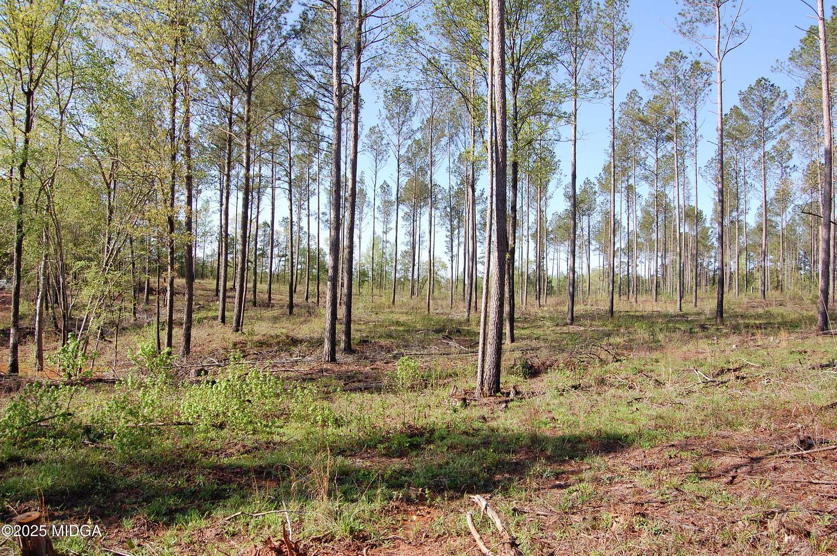 13 Acres of Land for Sale in Forsyth, Georgia