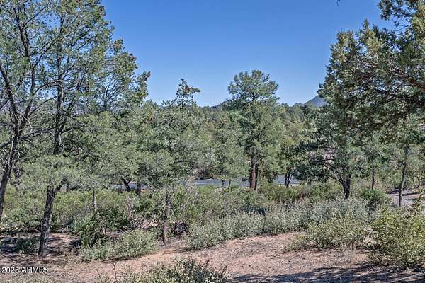 0.51 Acres of Residential Land for Sale in Payson, Arizona