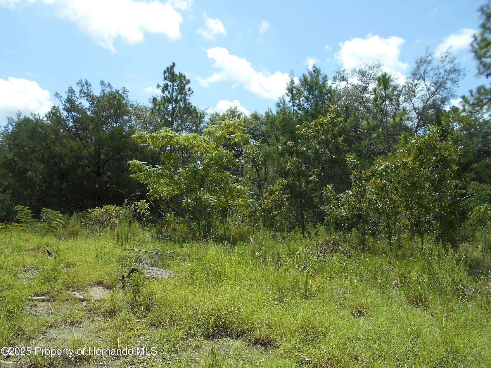 0.46 Acres of Residential Land for Sale in Weeki Wachee, Florida
