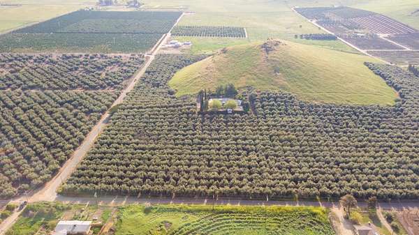 37.6 Acres of Agricultural Land with Home for Sale in Lindsay, California