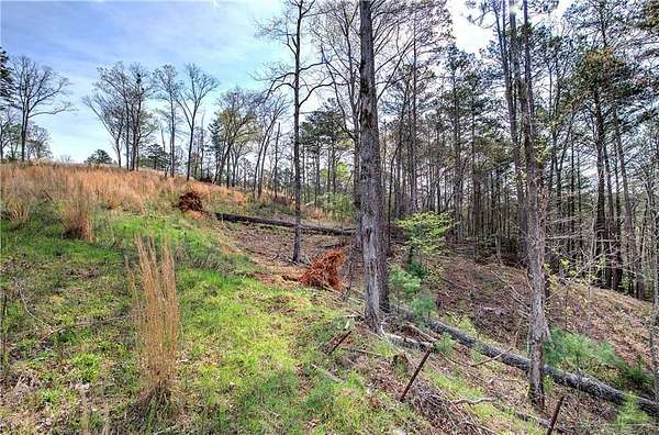 3.29 Acres of Residential Land for Sale in Ellijay, Georgia