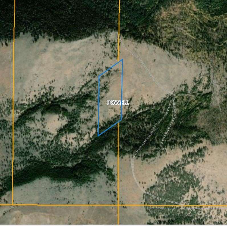 19.9 Acres of Recreational Land for Sale in Helmville, Montana