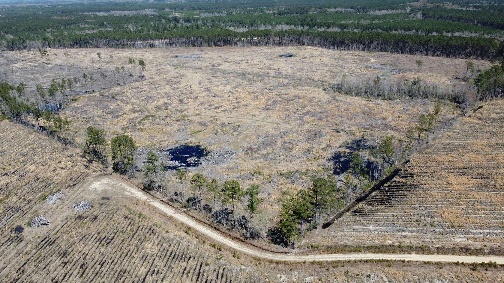 84 Acres of Recreational Land for Sale in Cottageville, South Carolina