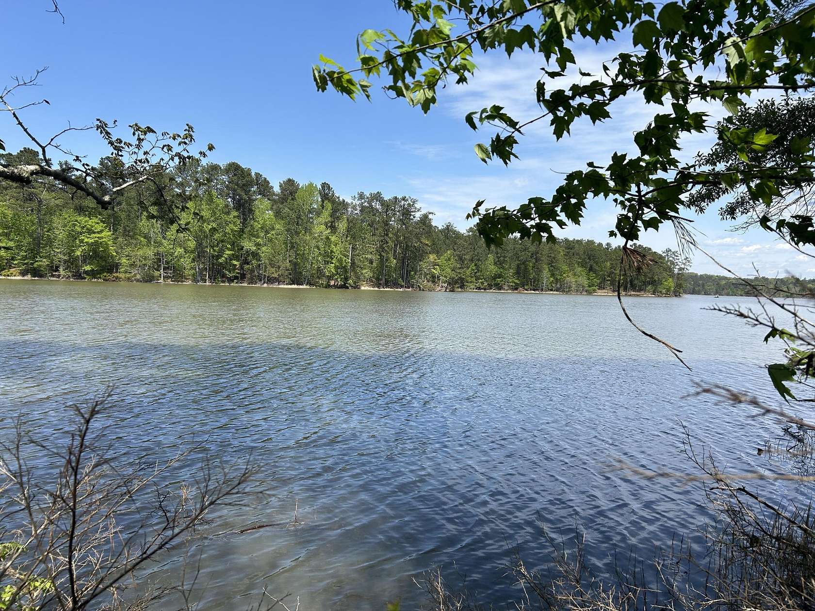 1 Acre of Residential Land for Sale in Tignall, Georgia