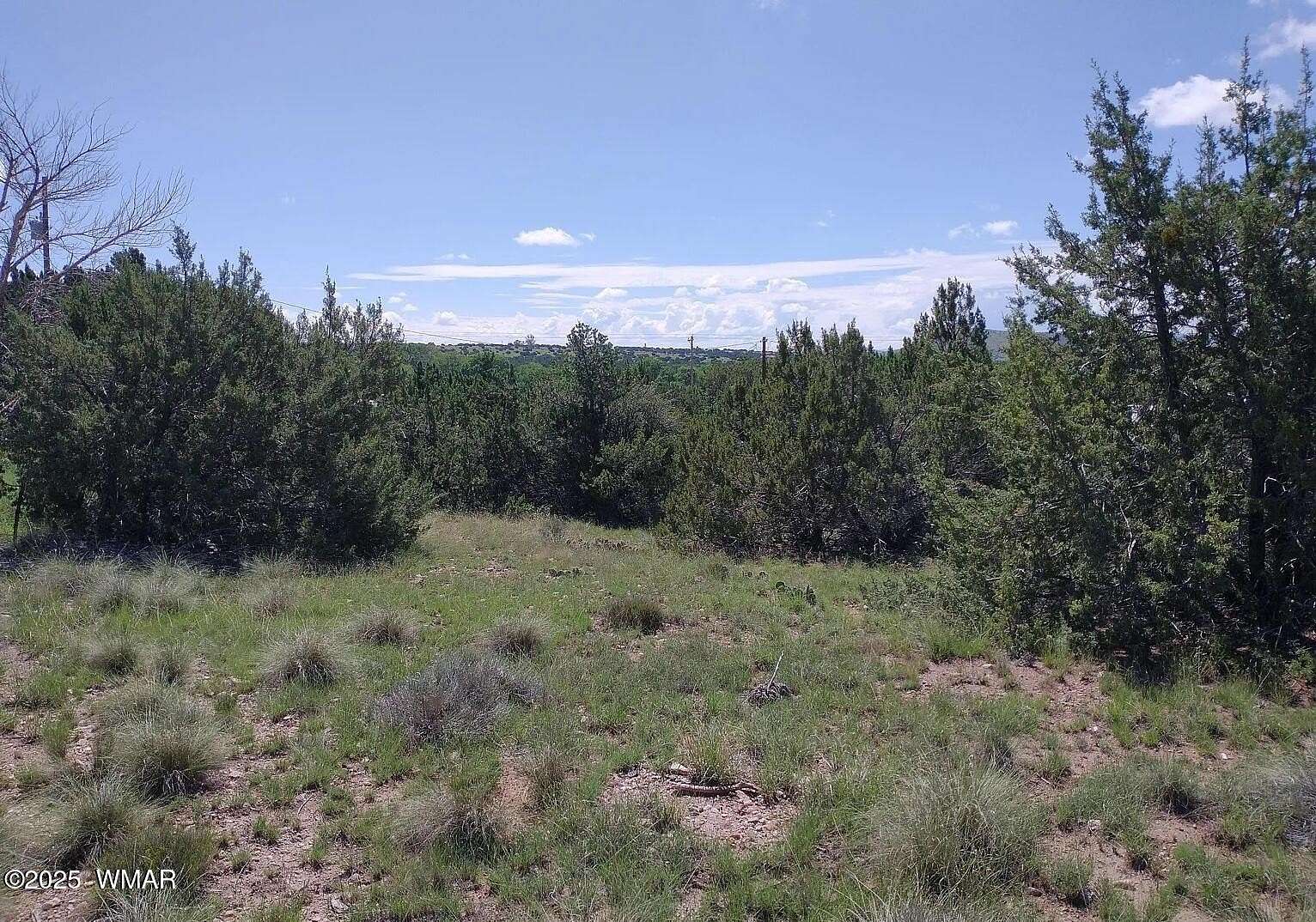 0.34 Acres of Residential Land for Sale in Concho, Arizona