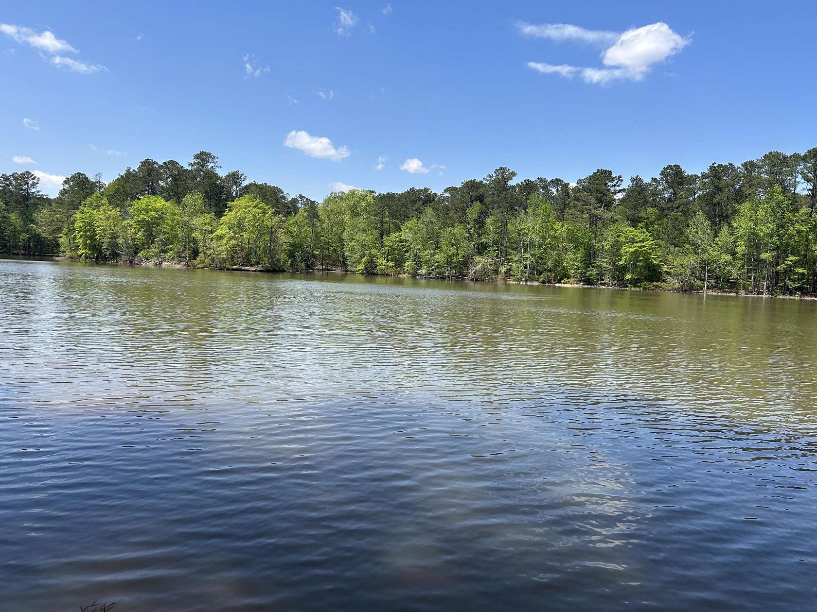 1 Acre of Residential Land for Sale in Tignall, Georgia