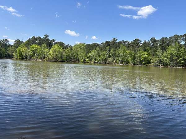 1 Acre of Residential Land for Sale in Tignall, Georgia