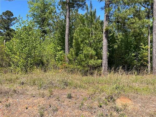 50 Acres of Recreational Land for Sale in Seale, Alabama