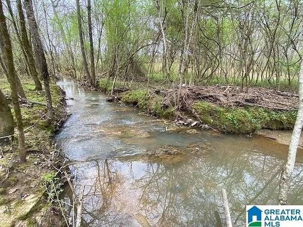 34 Acres of Recreational & Residential Land for Sale in Pell City, Alabama