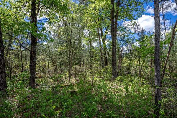 0.45 Acres of Residential Land for Sale in New Lisbon, Wisconsin