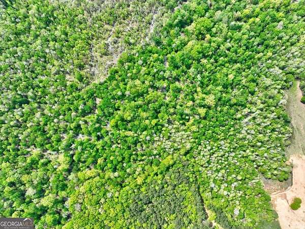 54.8 Acres of Recreational Land for Sale in Stockbridge, Georgia