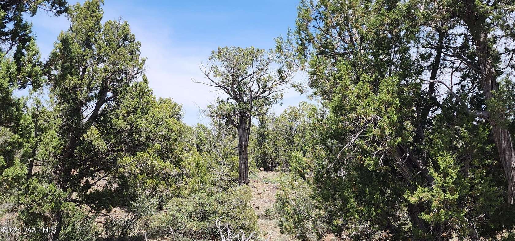 24.4 Acres of Recreational Land for Sale in Seligman, Arizona