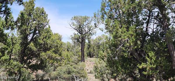 24.4 Acres of Recreational Land for Sale in Seligman, Arizona