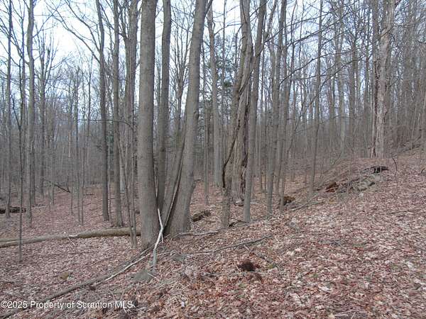 0.29 Acres of Residential Land for Sale in Spring Brook Township, Pennsylvania