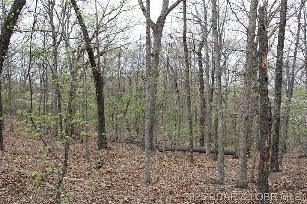 0.67 Acres of Residential Land for Sale in Sunrise Beach, Missouri