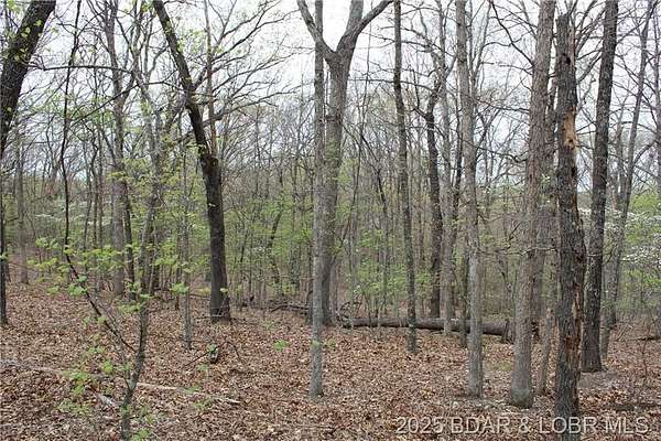 0.67 Acres of Residential Land for Sale in Sunrise Beach, Missouri