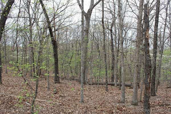 0.67 Acres of Residential Land for Sale in Sunrise Beach, Missouri