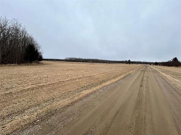 3.3 Acres of Land for Sale in Longville, Minnesota