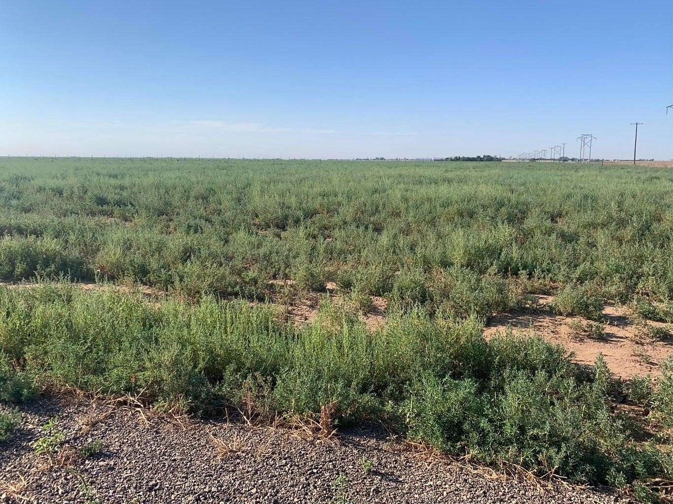 5 Acres of Residential Land for Sale in Amarillo, Texas