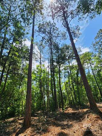Residential Land for Sale in Lillian, Alabama