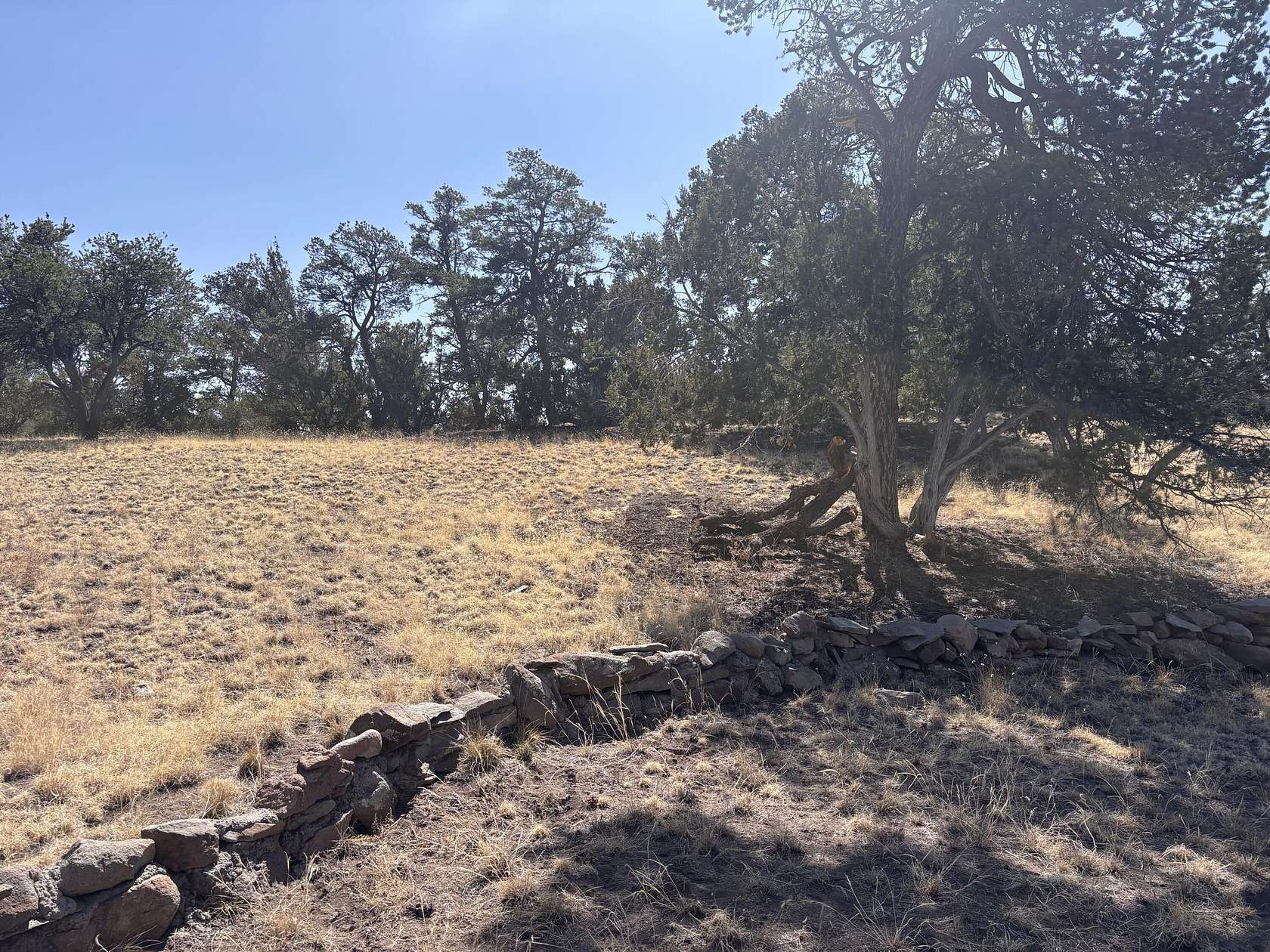 13.6 Acres of Land with Home for Sale in Datil, New Mexico