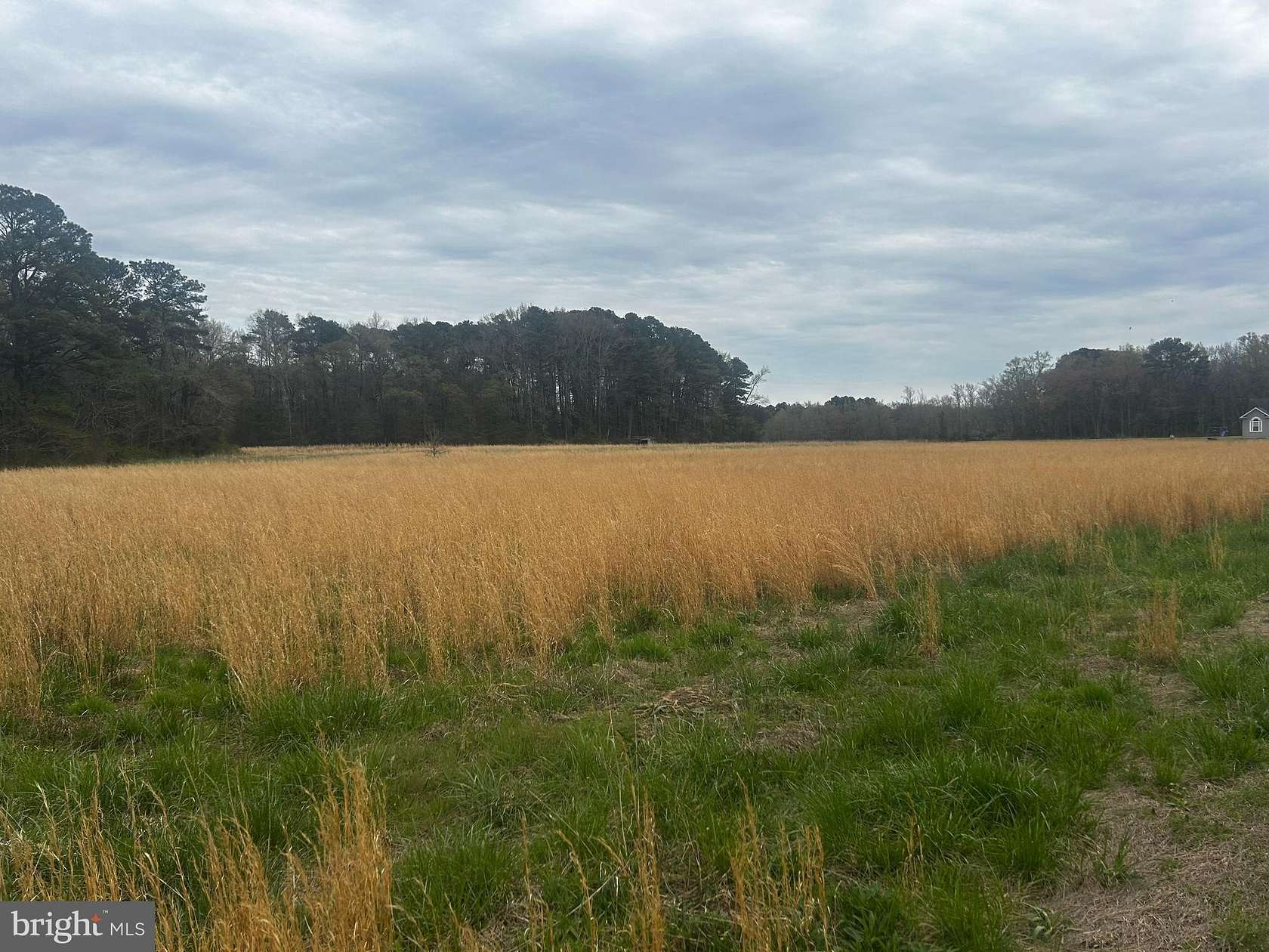 13 Acres of Land for Sale in Salisbury, Maryland