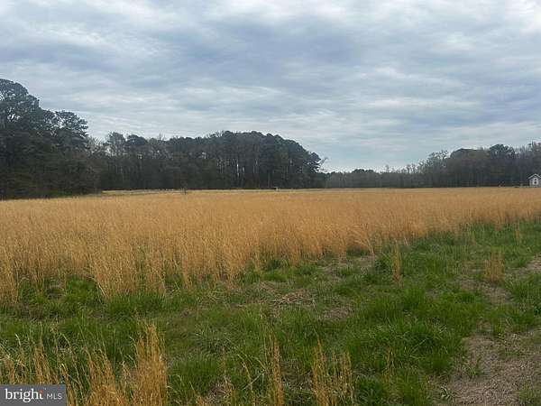 13 Acres of Land for Sale in Salisbury, Maryland