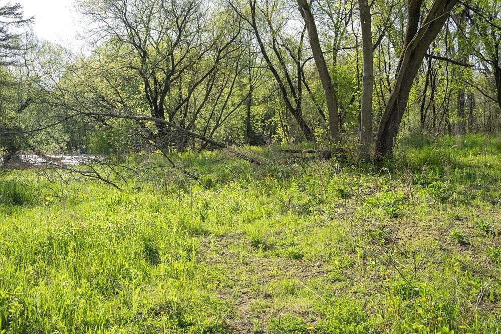 1.19 Acres of Land for Sale in Champlain, New York