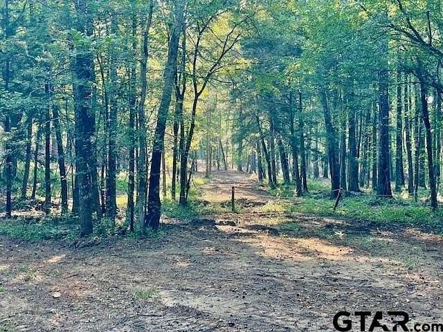 18.6 Acres of Land for Sale in Flint, Texas