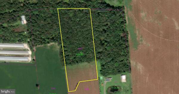 9 Acres of Residential Land for Sale in Bridgeville, Delaware