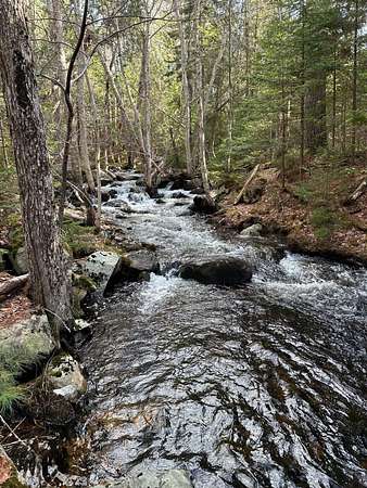 2.75 Acres of Residential Land for Sale in Mount Desert Town, Maine